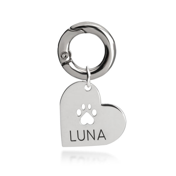 Luna Cat or Dog Collar Tag With Pet's Name